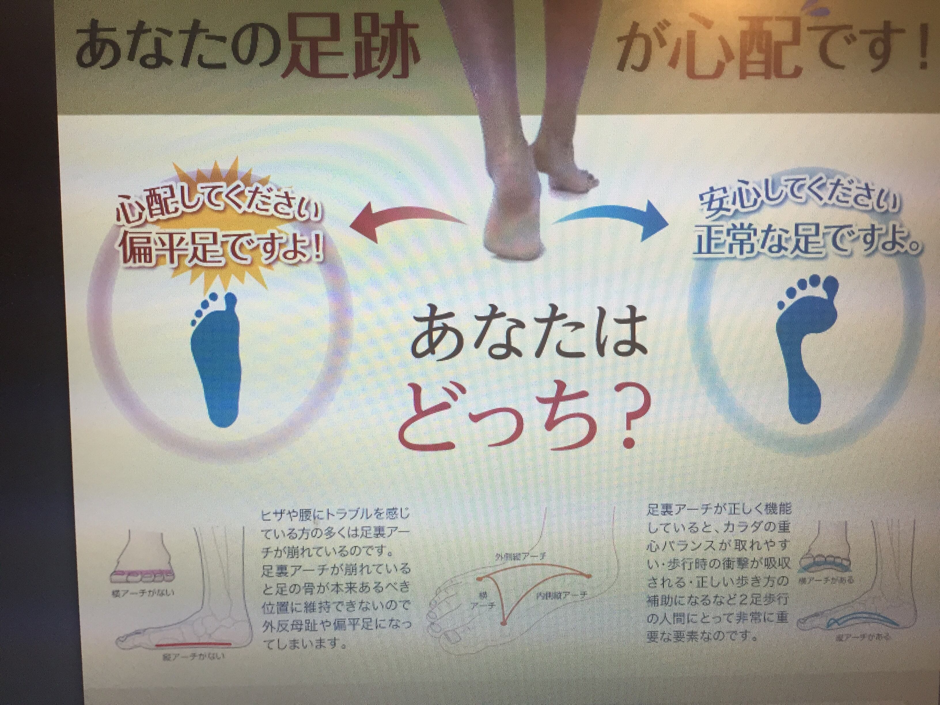 魔法のソックス 黒 Leadlead