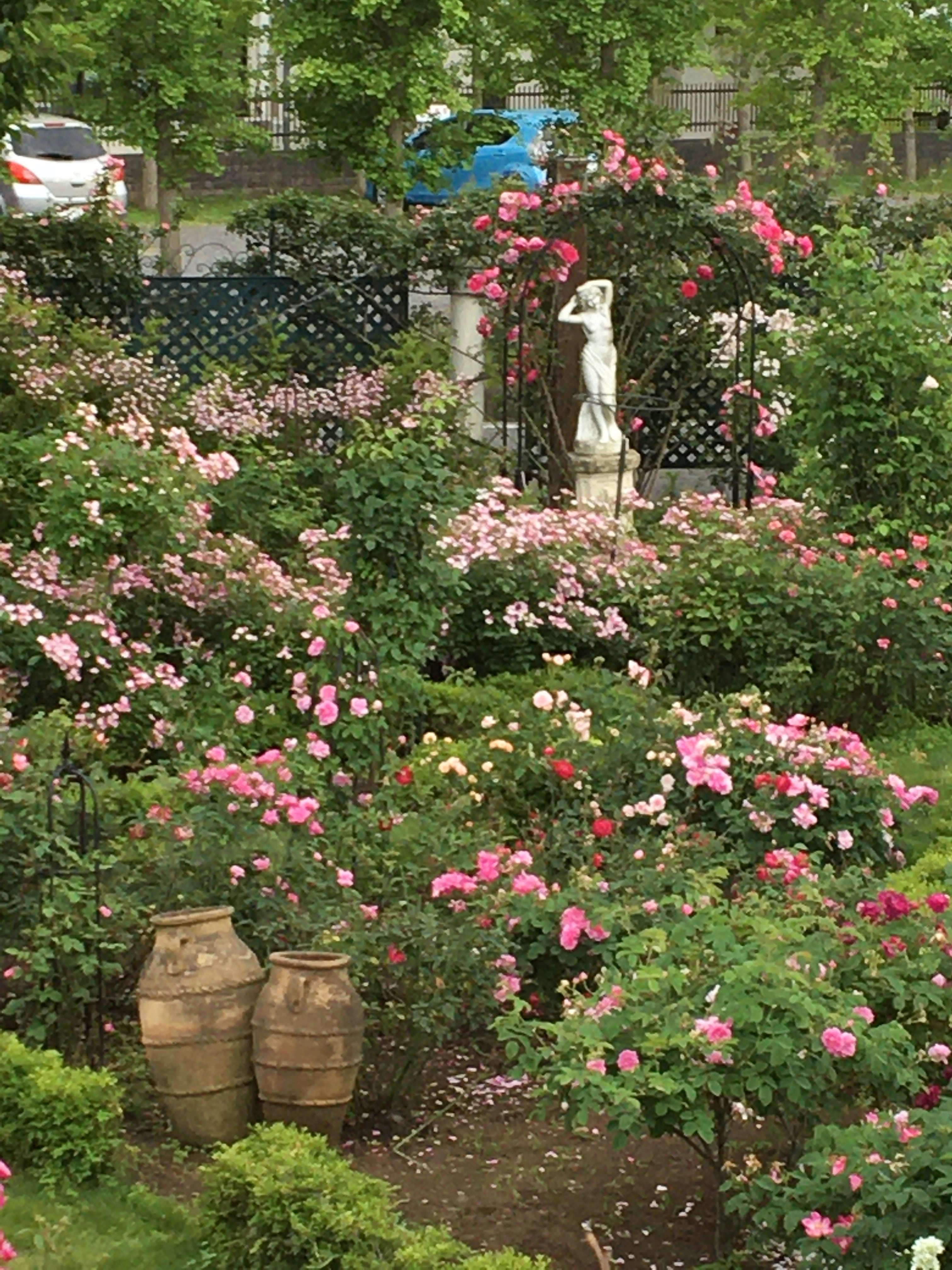 お店のご案内 | ROSE&PLANTS 458