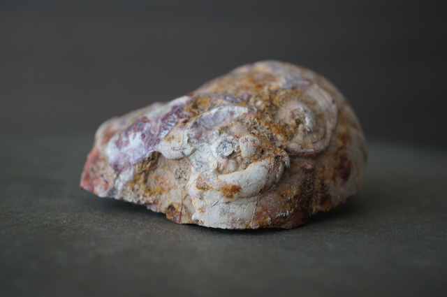 コールドマウンテン・サンダーエッグ Cold Mountain Thunderegg 2365