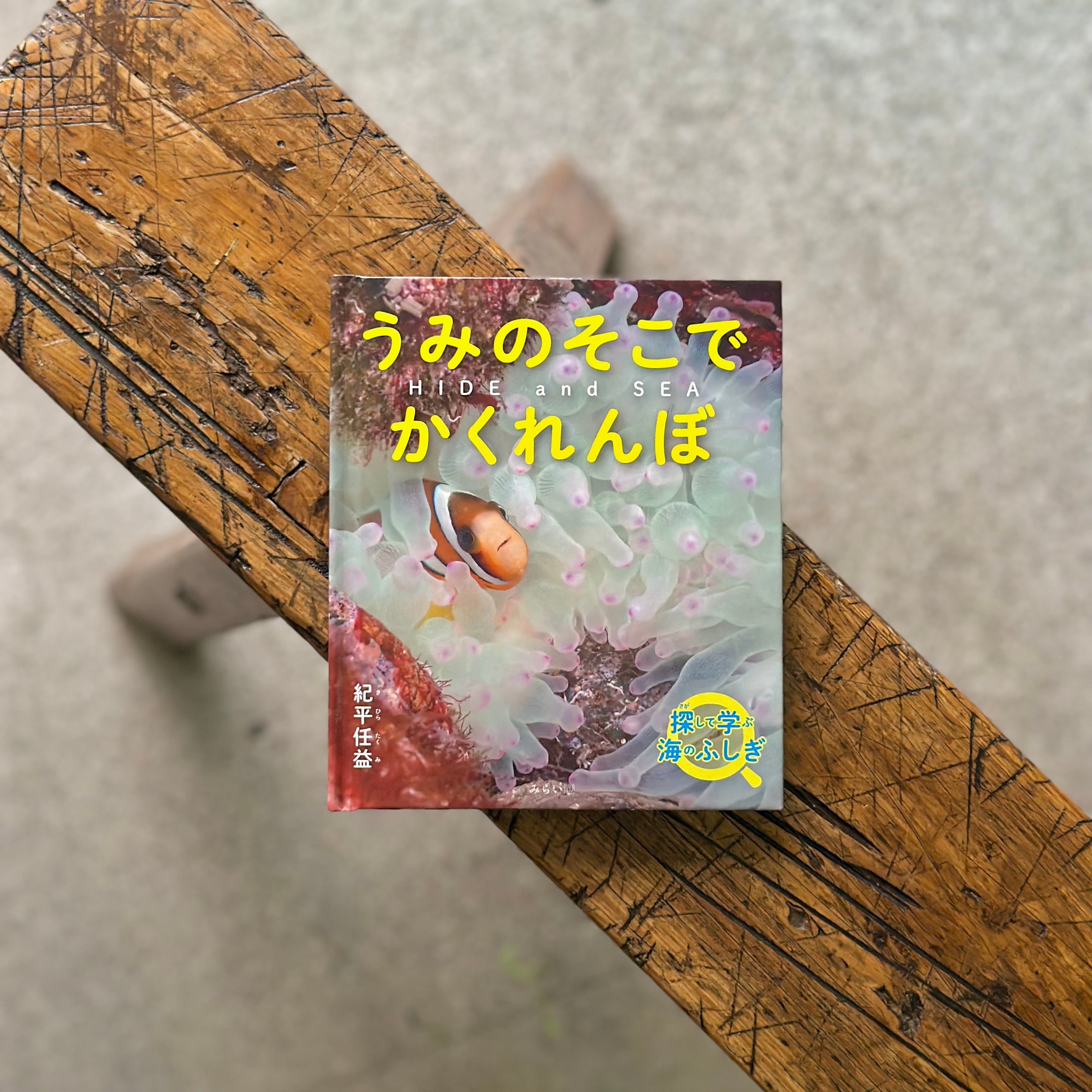 HIDE and SEA うみのそこでかくれんぼ