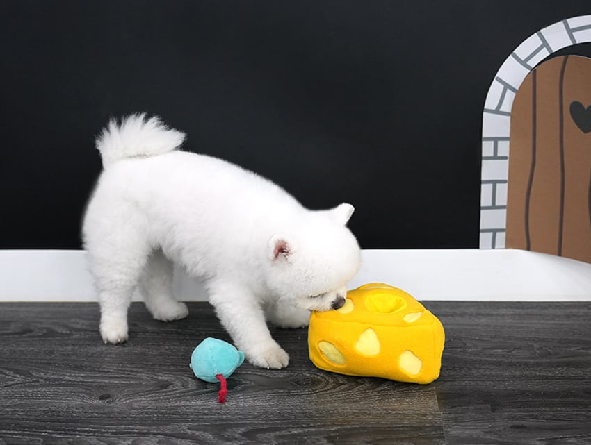 soft cheeze multi toy  /  ノーズワーク ペット 犬 おもちゃシャカシャカ 知育玩具 おやつ隠し 可愛い わんちゃん ストレス解消 音が鳴る toy カシャカシャ