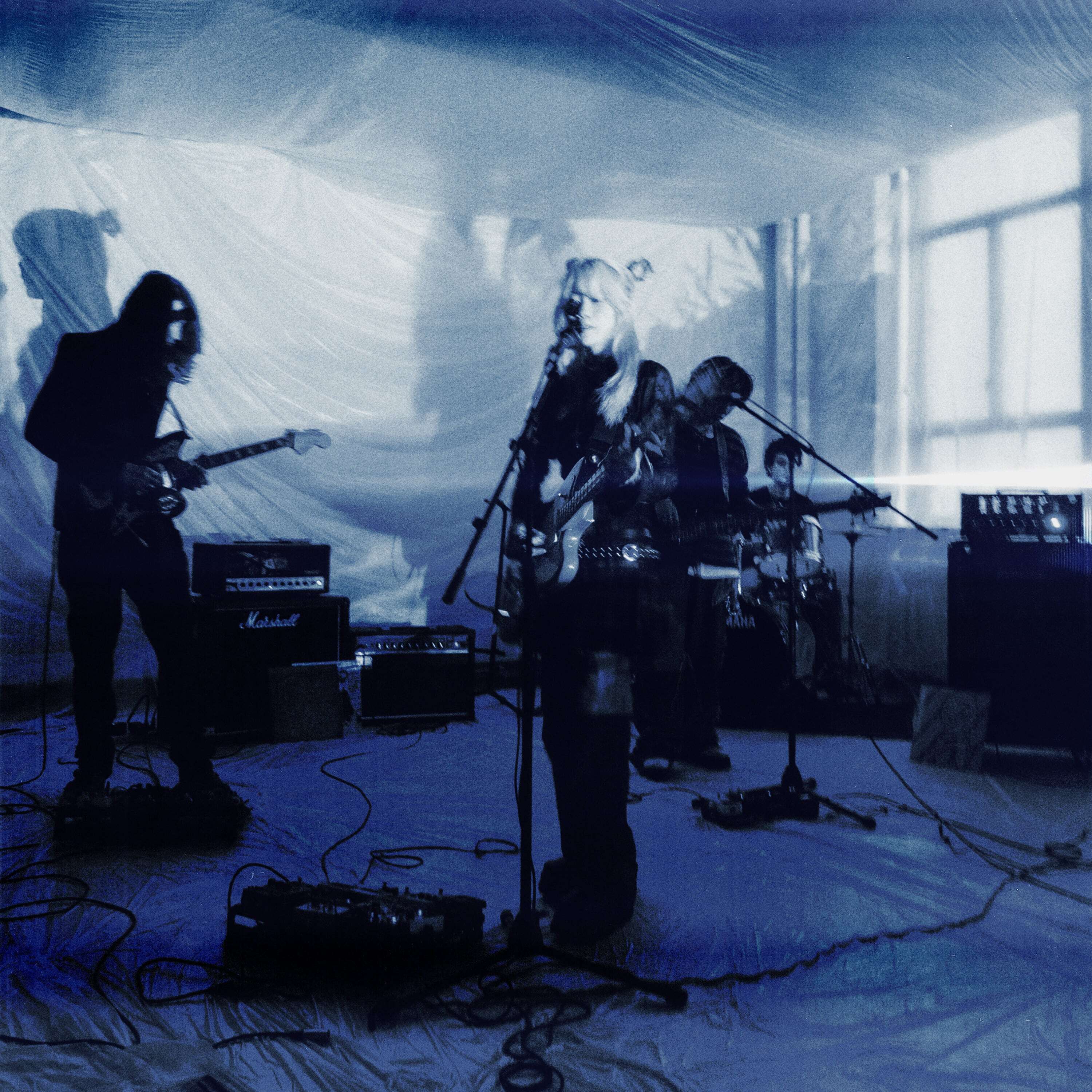 the neverminds / Compilation of nevermind, the summer. nevermind, the winter.（175 Ltd Clear Green LP）