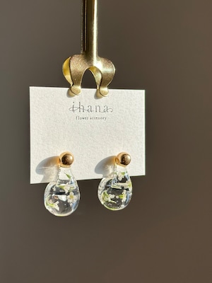 creeping baby's breath drop pierce 【数量限定】
