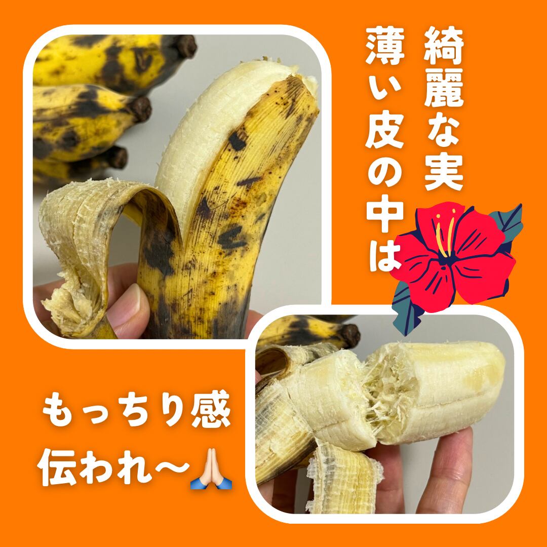 まみつわん様、専用ハワイのセレブ御用達アップルバナナ 沖縄産