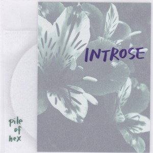 pile of hex「INTROSE」
