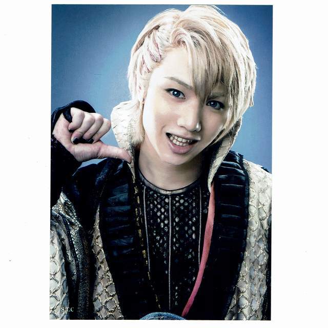 全国組立設置無料 天下無敵の忍び道 ブロマイド Www Hallo Tv