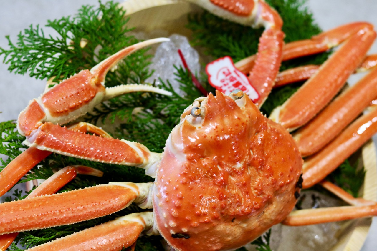 活〆ボイル松葉がに 特大1.1kg【港直送】