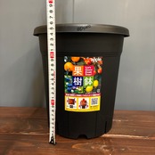 【新着3日限定10%OFF】果樹鉢　245型　ブラック【】