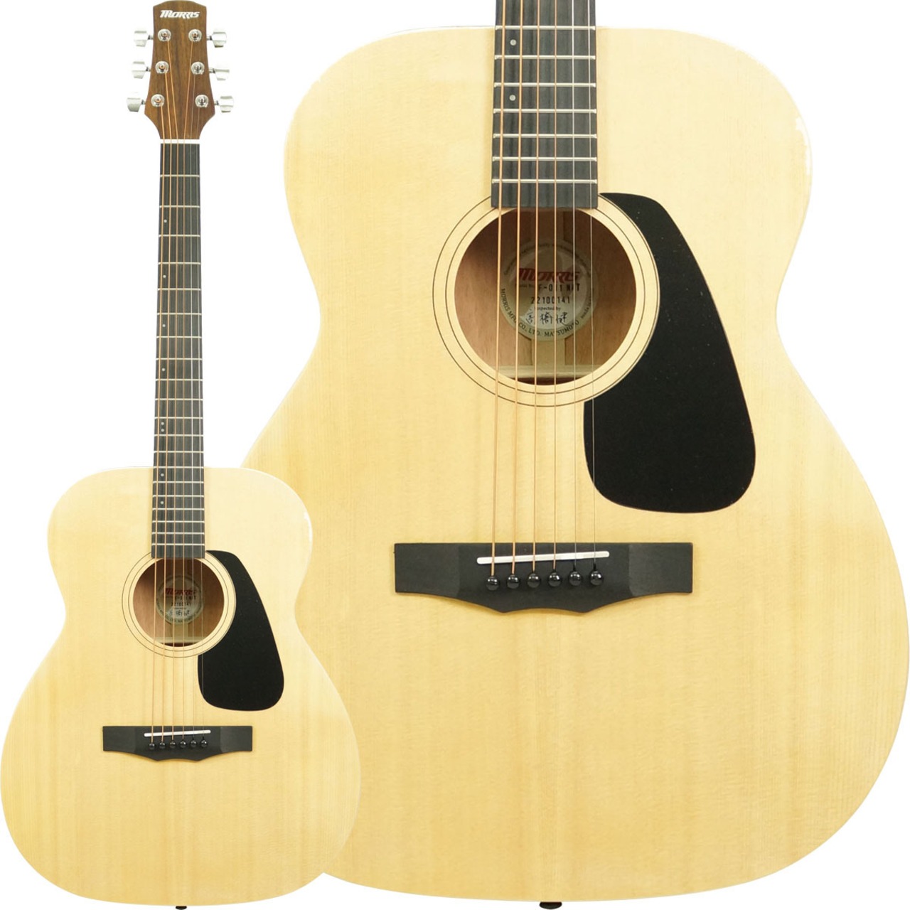 Morris F-011 (NAT) [限定特別価格]