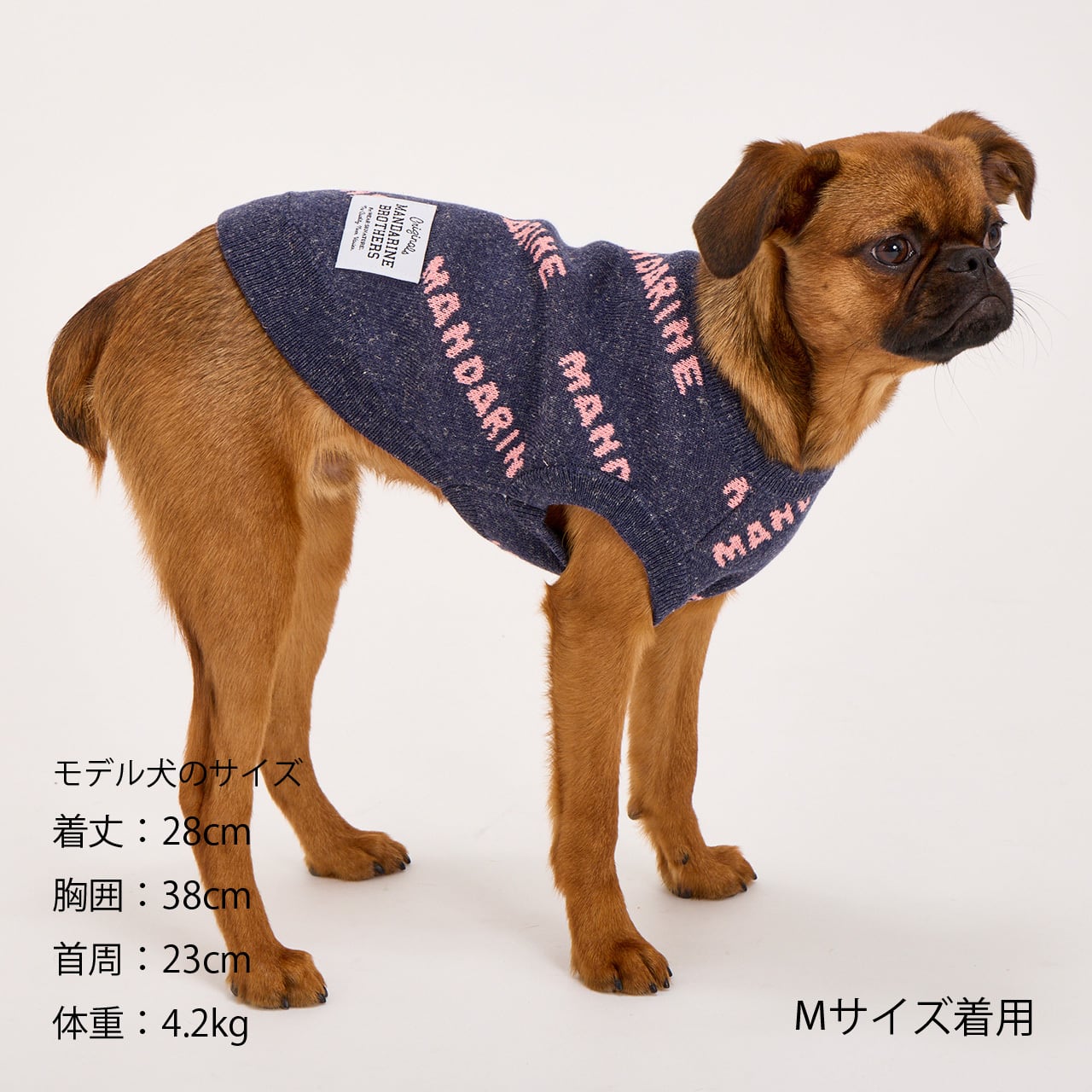 MNDRN LOGO KNIT（XS.S）マンダリンロゴニット | MANDARINE BROTHERS