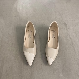 pointed toe heel T6034