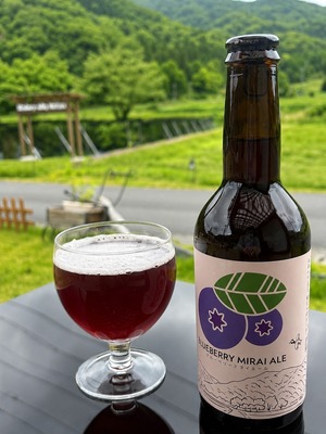 ブルーベリーミライエール６本セット（ブルーベリーのクラフトビール）