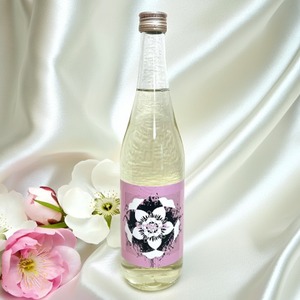 【新たな門出・お花見・母の日に】春の限定日本酒ギフトセット