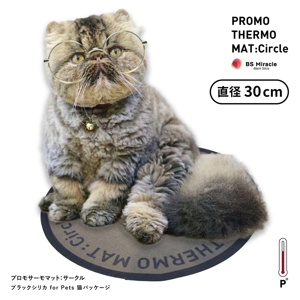 PROMO THERMO | PROMO THERMO（プロモサーモ）