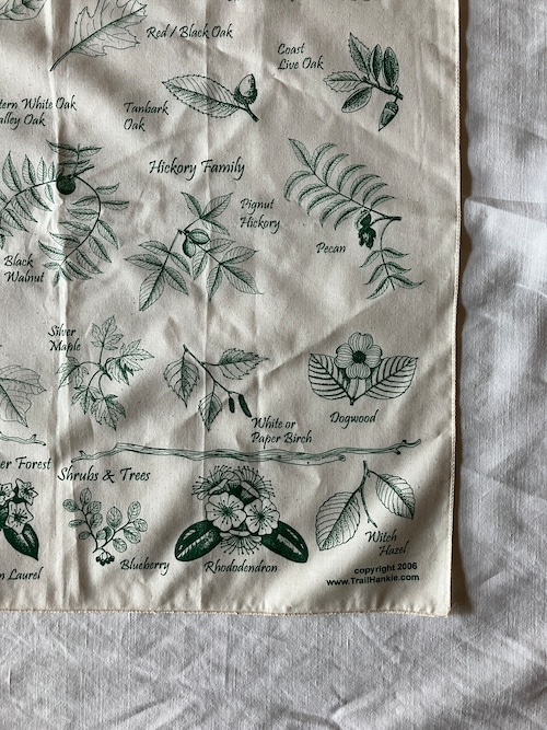 TRAIL HANKIE DELICOUS TREE BANDANA 7