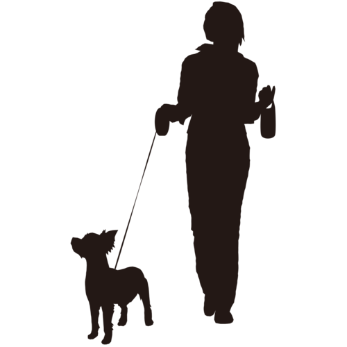 犬を散歩している女性