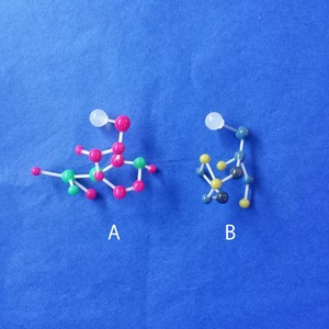 【ゲノム】分子構造ポストピアス A