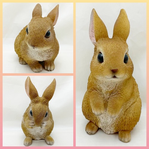 ミニフレンドラビット　うさぎ
