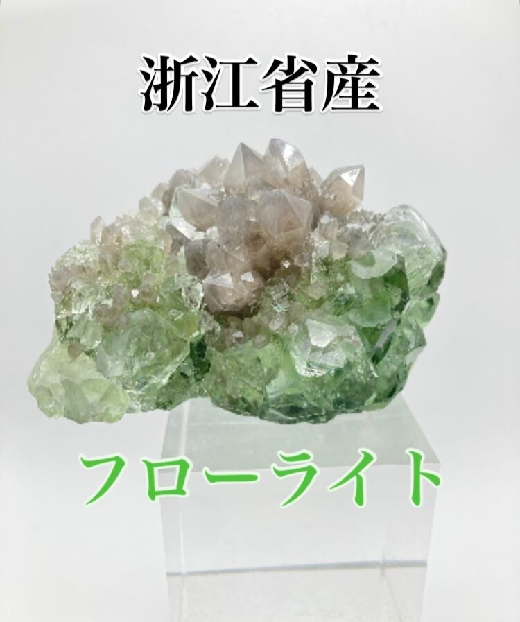 レインボー・シヴァ