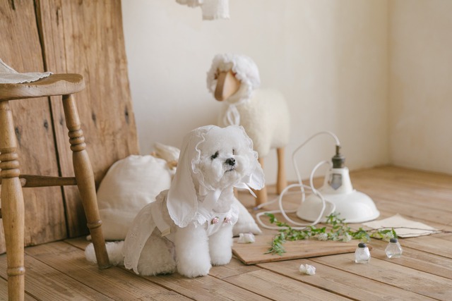 予約【kiki&nini】Apron Bunny Hat〔お名前刺繍〕