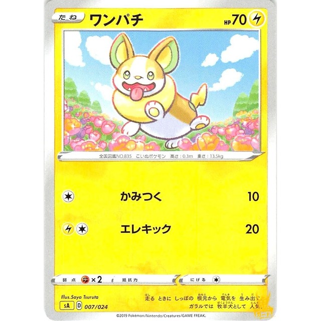 ワンパチ sA 007/024 かみつく かみなりタイプ 状態：A ポケカ
