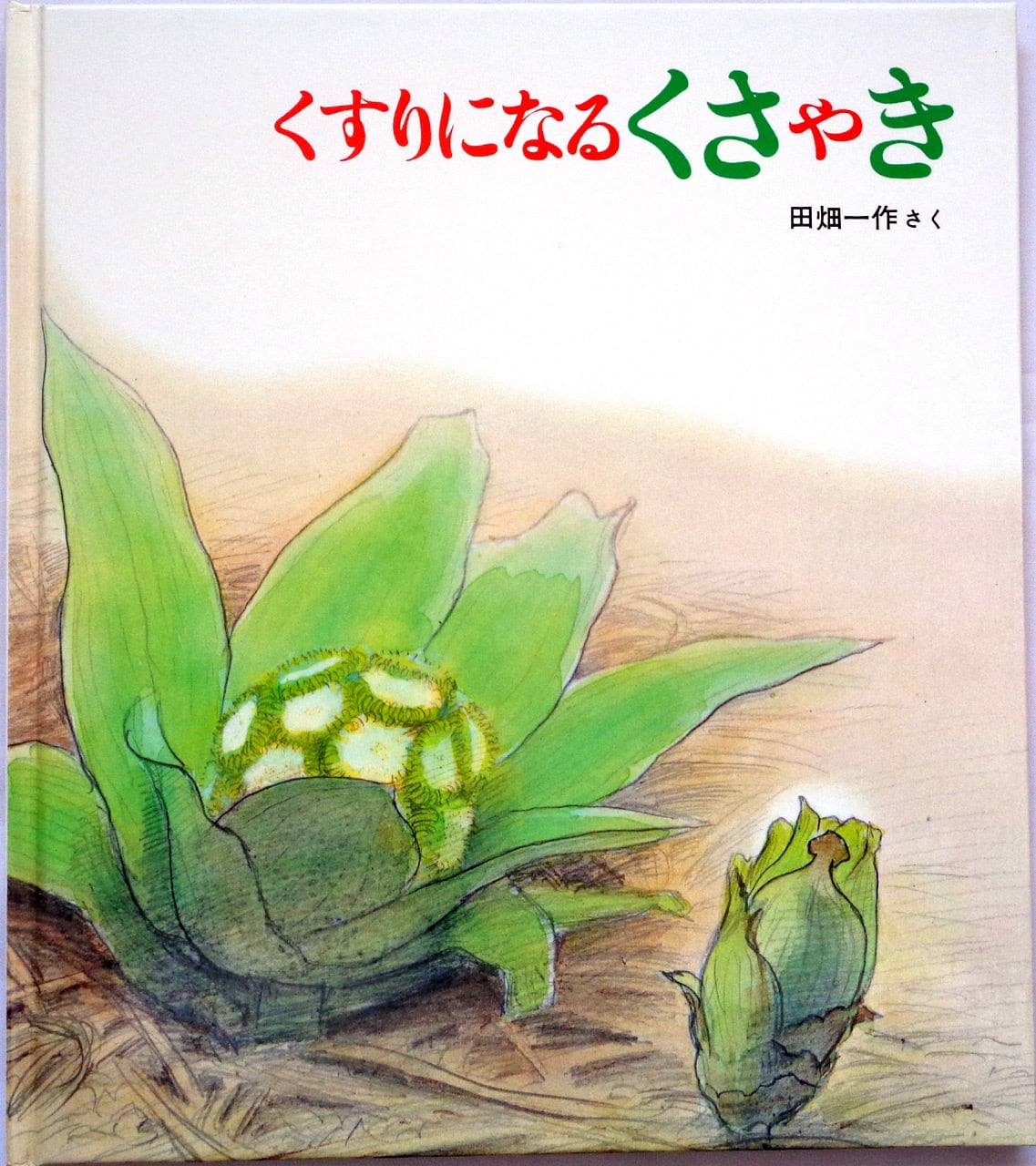 花を棲みかに 』 | あっちゅん堂