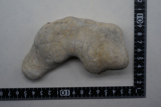 フェアリーストーン 妖精石 Fairy Stone ③