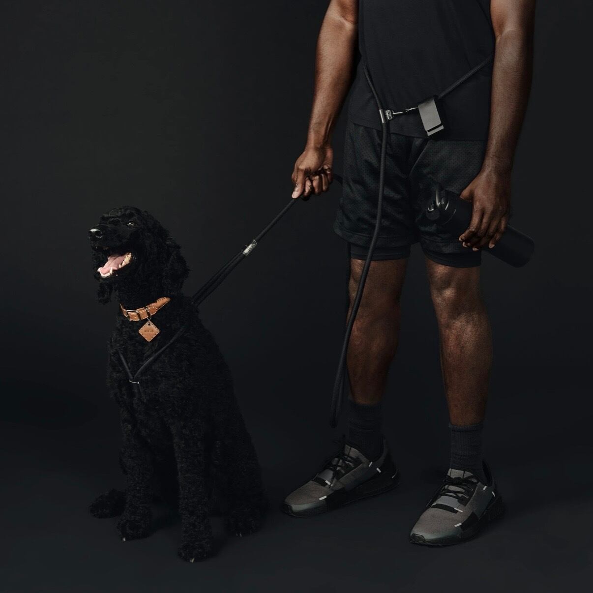予約【boo'oh】Hands-Free Ray Harness | Black Editon | ropet