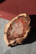 ペトリファイドウッド プレート |  Petrified Wood Plate ◇ 天然石・鉱物・パワーストーン | st00409