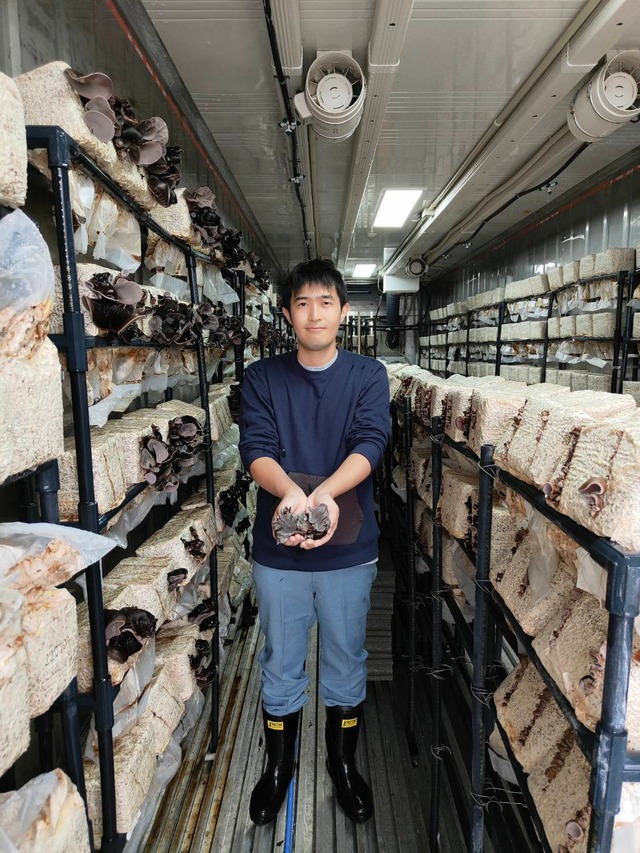 乾燥きくらげ(25g)