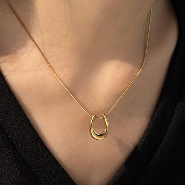 316L horseshoe necklace
