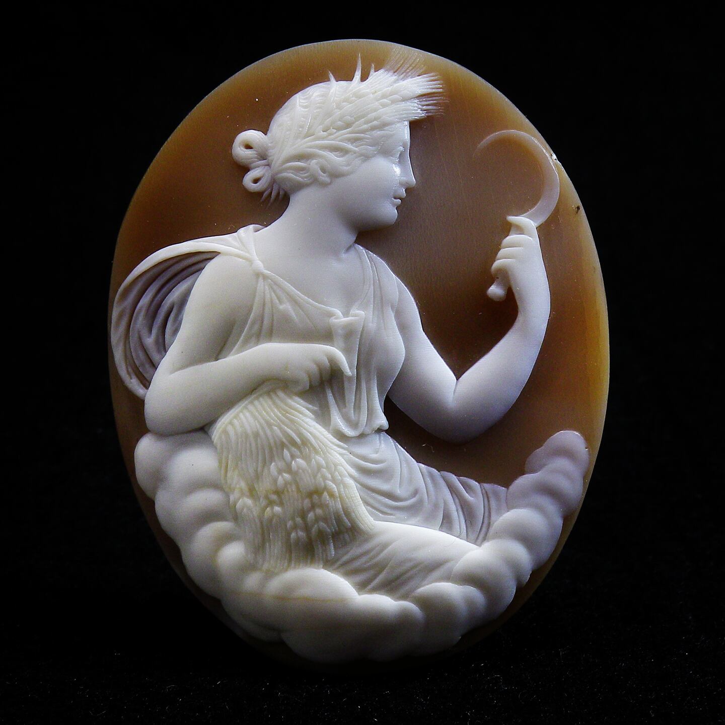 カタログクオリティカメオ | Cameo Erynceleblas カタログクオリティカメオ | Cameo Erynceleblas