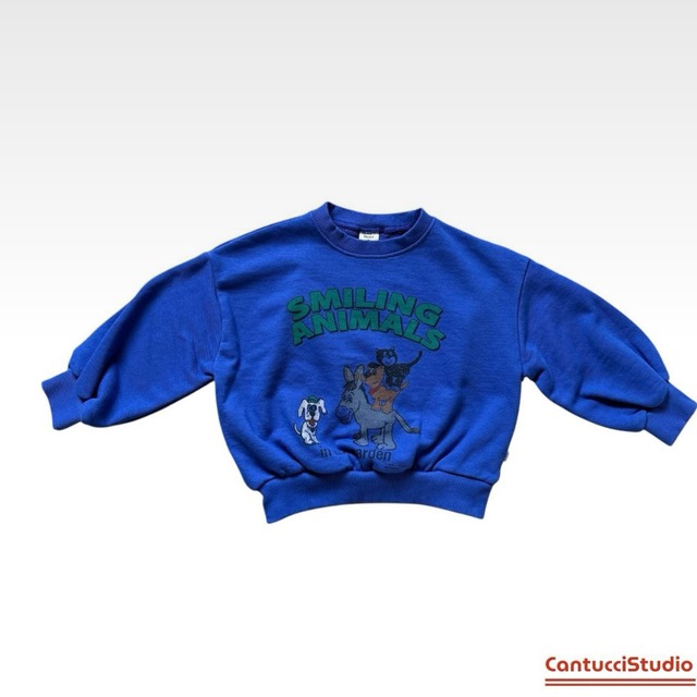 《送料無料》予約:アニマルトレーナー【cantuccistudio】