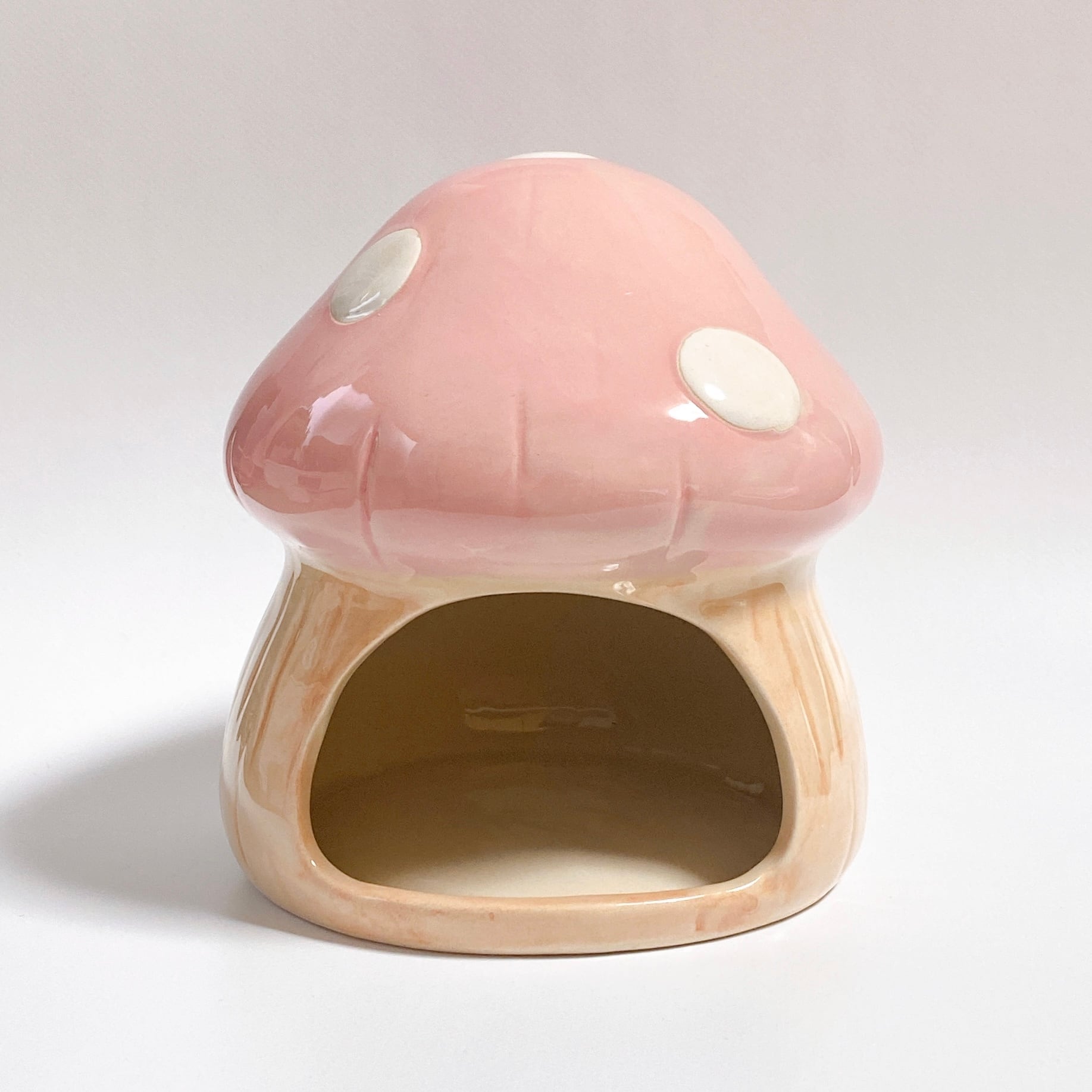 あみあみいちごポーチ1~2匹用（新色レッド/ヘタ緑）＊モモンガポーチ