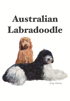 gray original Dog face &breed printed S/S TEE［AustralianLabradoodle］