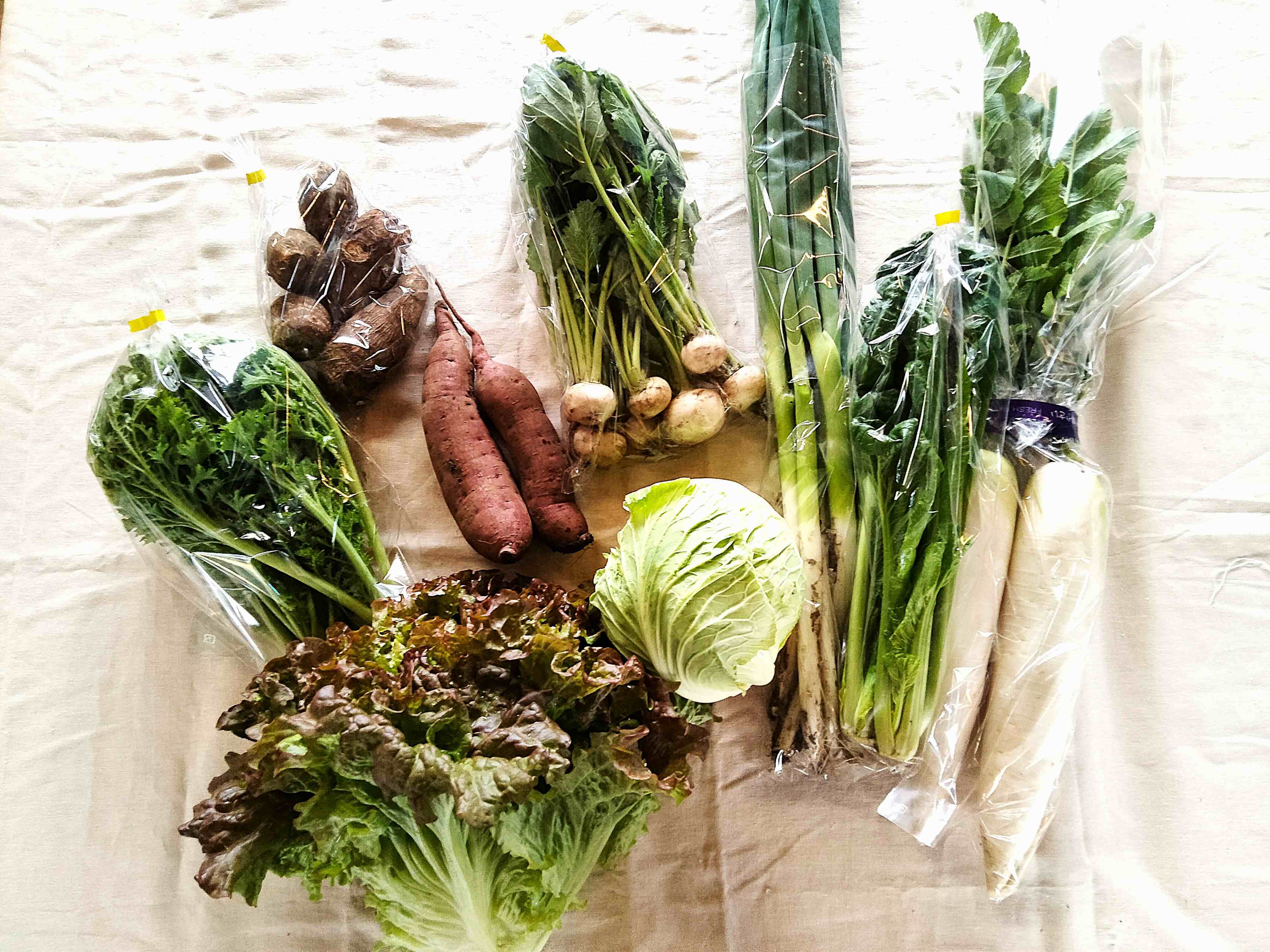 卵10ケ＋旬の野菜セットM（13種類程度） | 椛島農園