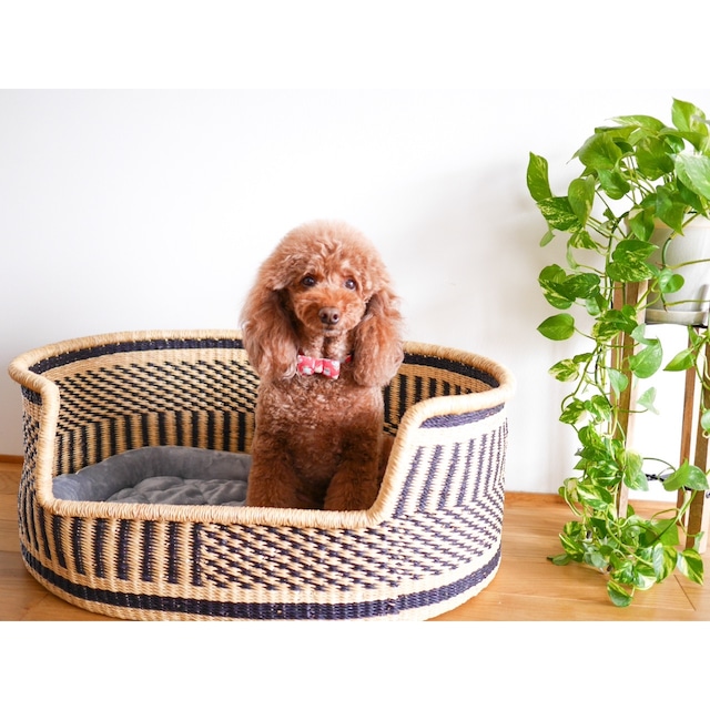 【ラスト1点！】African Basket Pet Bed