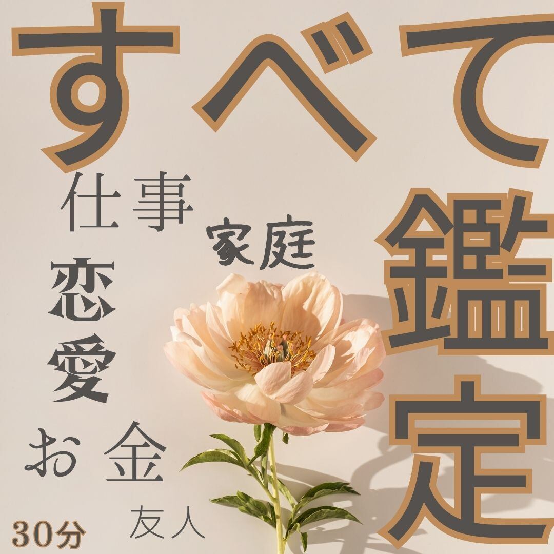 【WEB対面鑑定】鑑定：30分