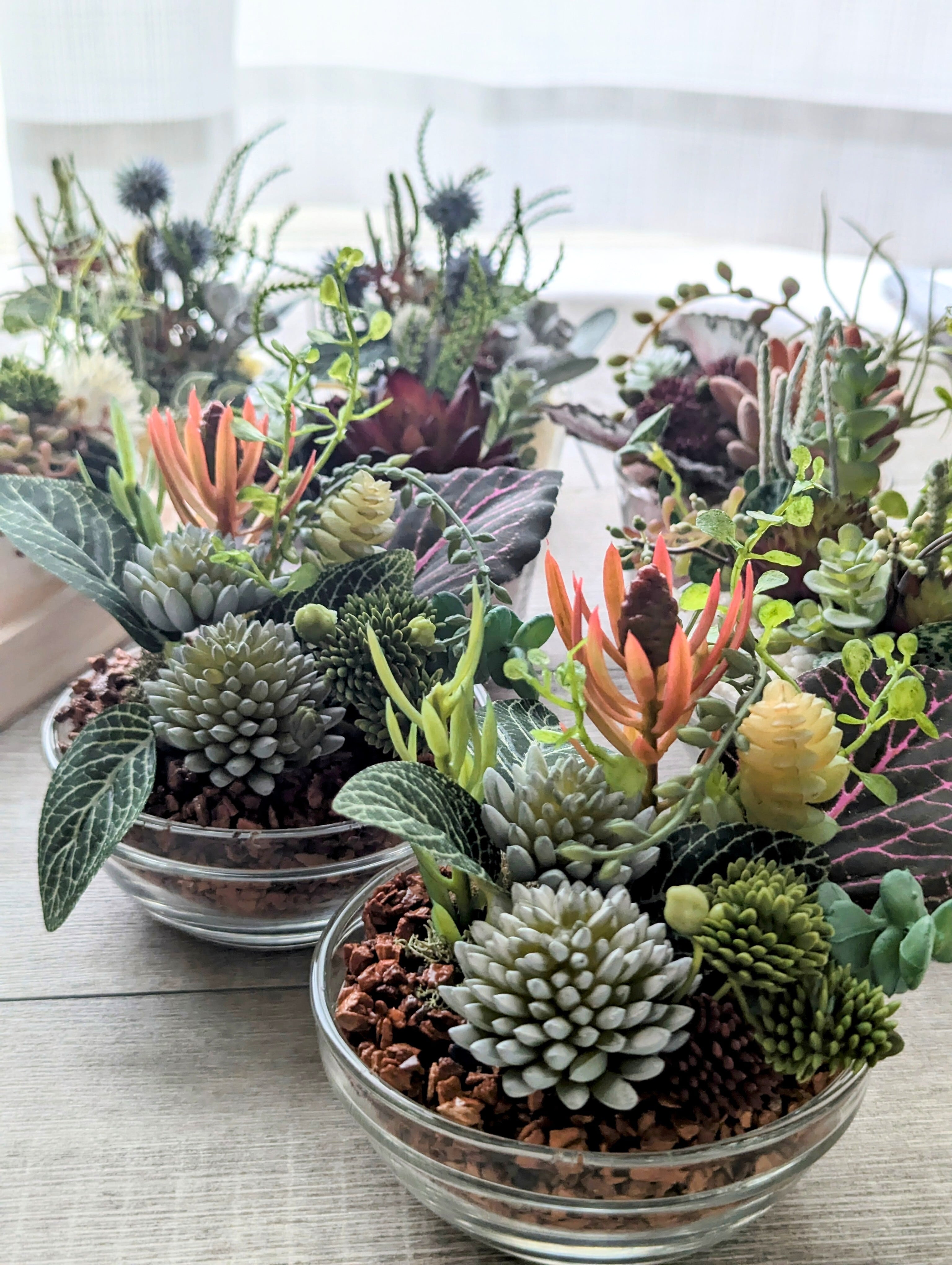 多肉植物&グリーンアレンジメント カラーストーン テラコッタ