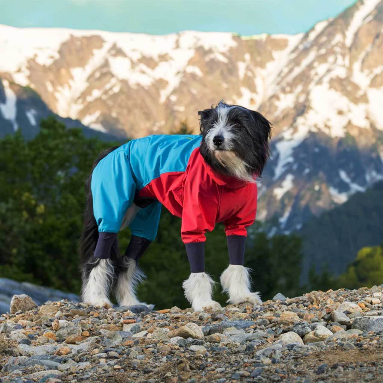 ALPHAICON [アルファアイコン] SNOW DOG GUARD [25SDG] スノードッグ