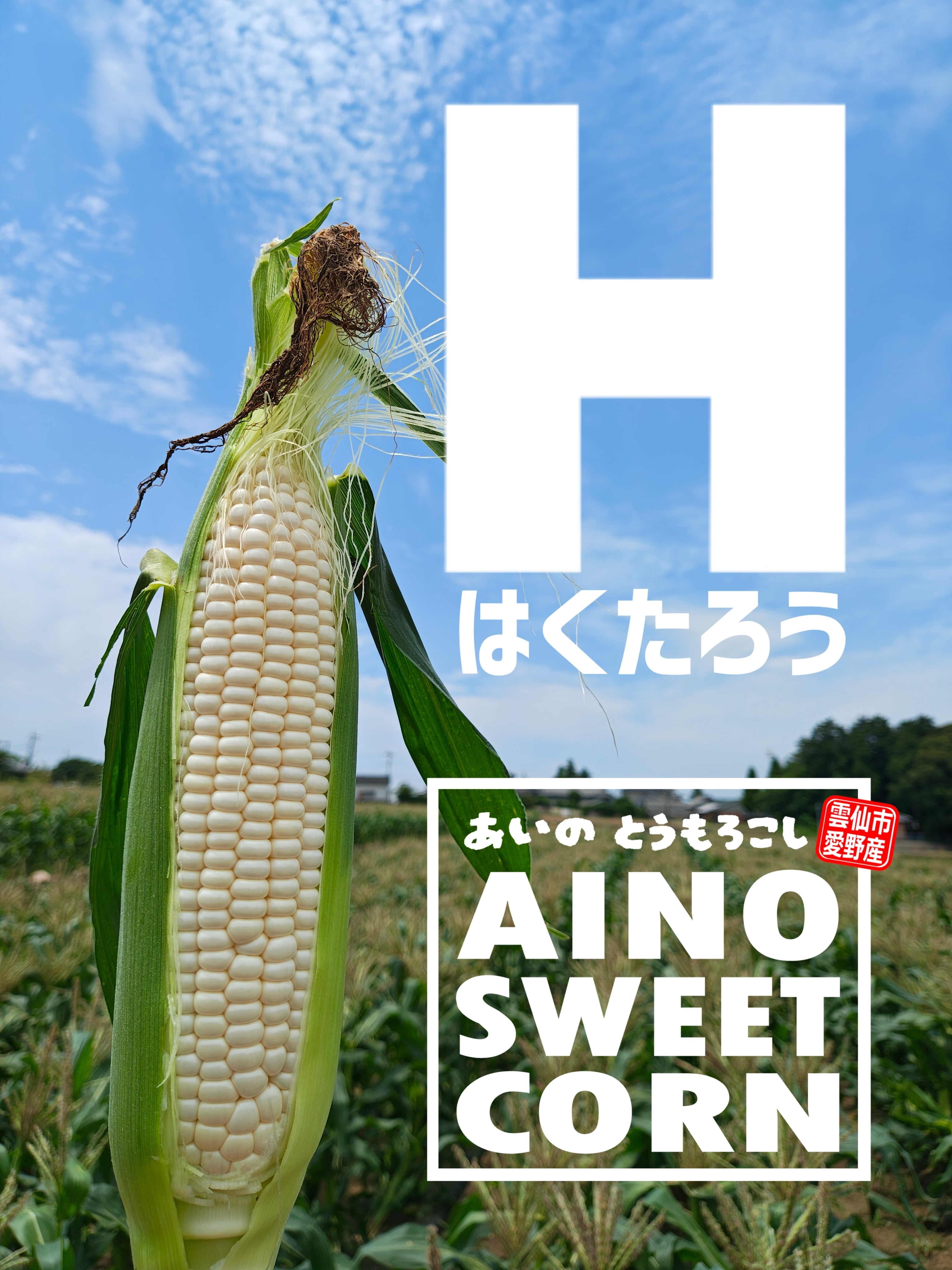 ALL ITEM | グリーンシュガー