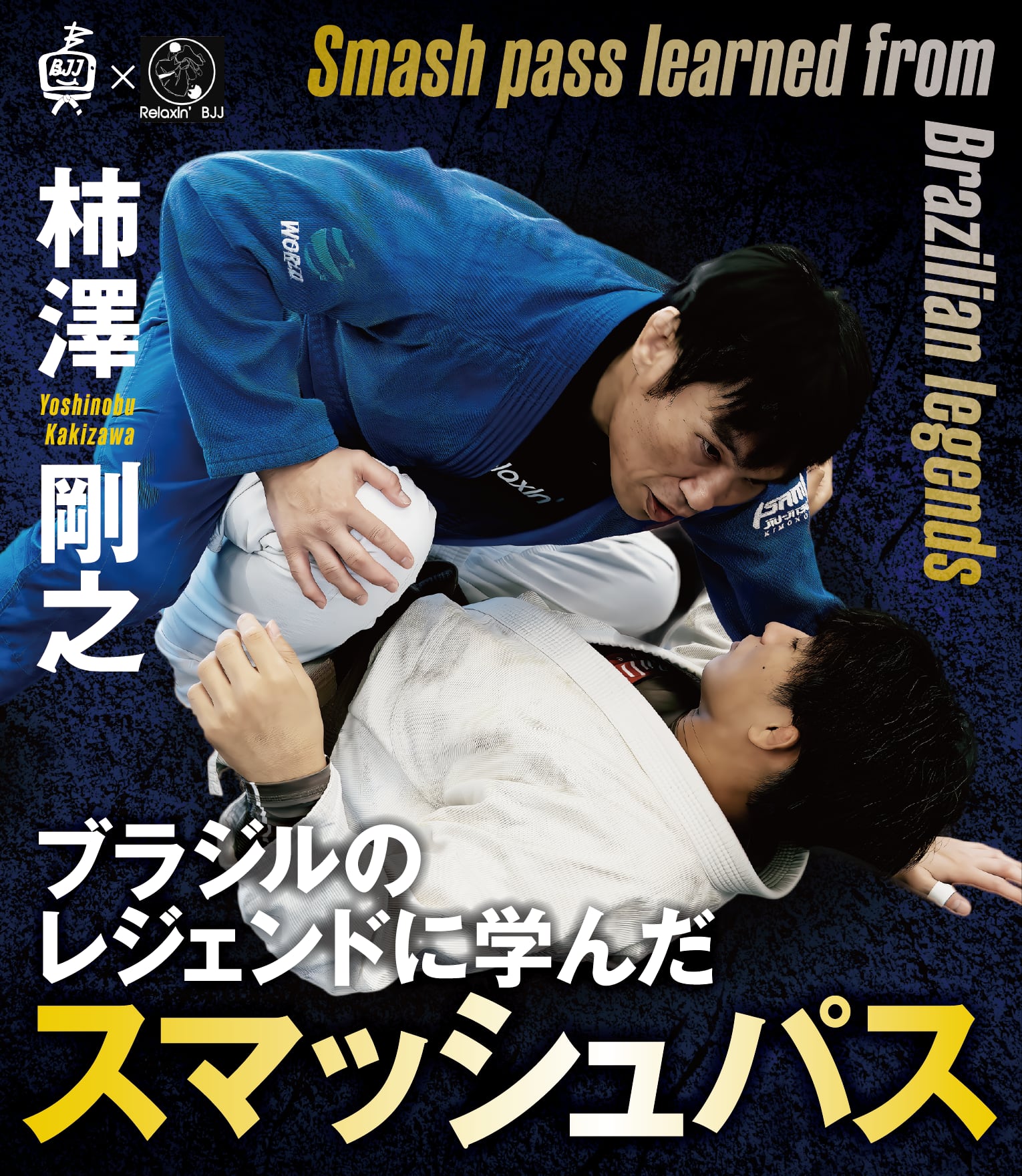 111 柔術DVD カイオテハ 111 HALF GUARD 日本語解説付 ハーフガード