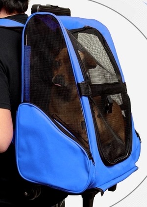 キャット 猫 ドッグ 犬 小型犬 キャリー バッグ バックパック 散歩グッズ トロリーバック ポケット 細身 ベーシック カラフル メッシュ 通気性 かわいい きれいめ シンプル カジュアル かっこいい スポーティー 個性的 主役級 存在感 キュート 都会的 カレッジ風 アメリカン 無地 オールシーズン ロングシーズン シーズンレス 男の子 女の子 成犬 成猫 お出かけ 旅行 休日 散歩 ウォーキング 普段使い