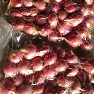 赤わけぎ1袋 red onion (shallot) หอมแดง 500g