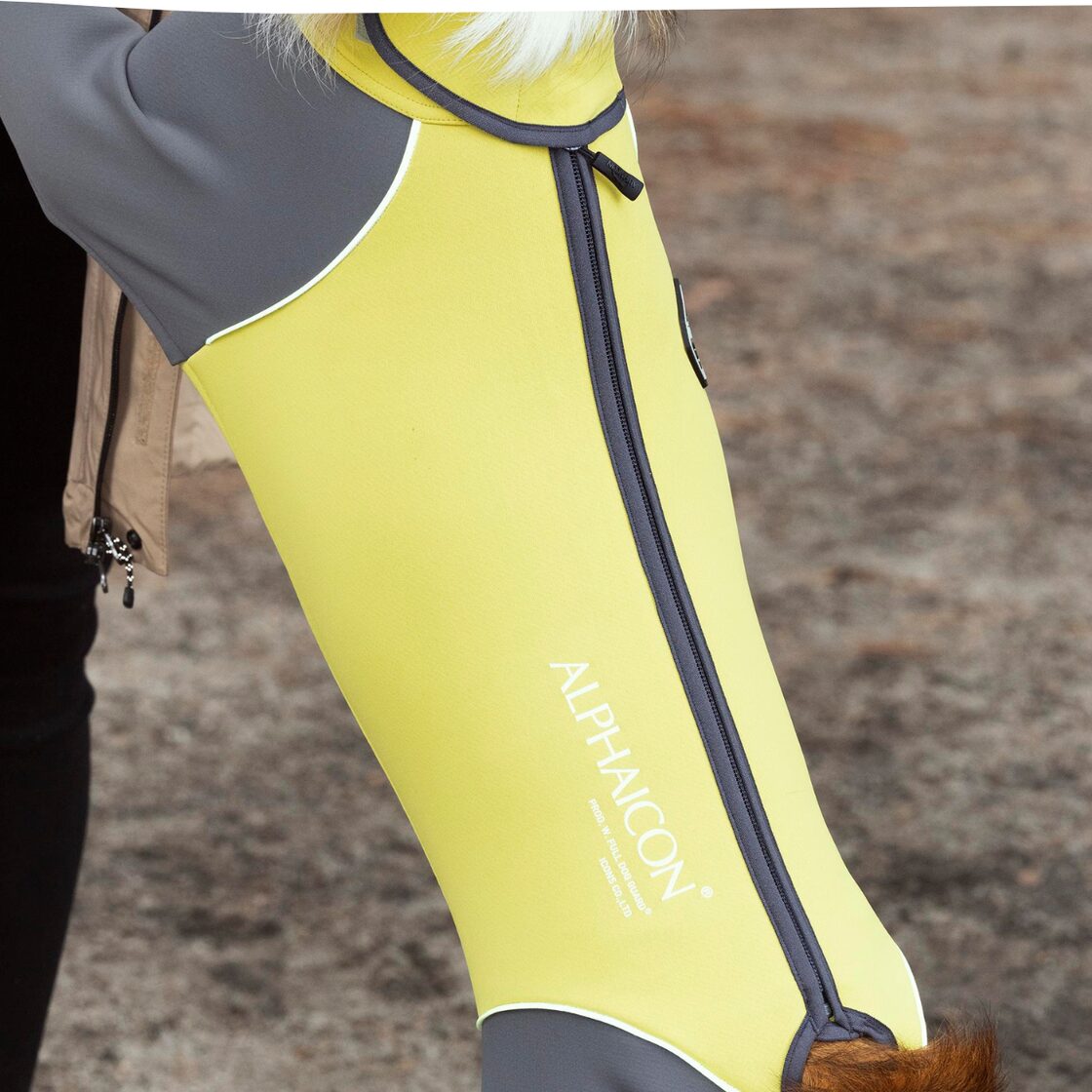 BAMBOO/1L ALPHAICON 2022/AW ダブルフルドッグガード | Pay ID