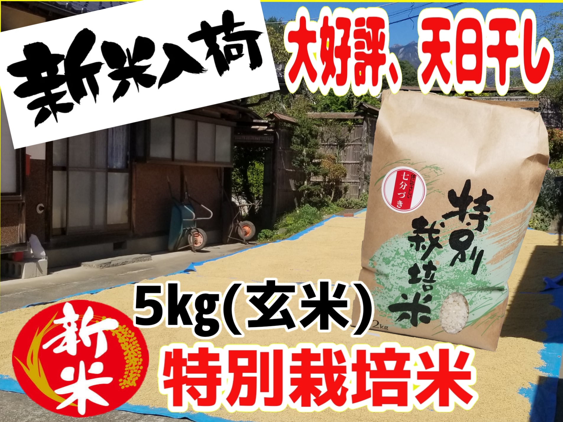 令和4年産　八ヶ岳の特別栽培米　浅川さんちのコシヒカリ5kg（玄米）　エーズコーポレーション
