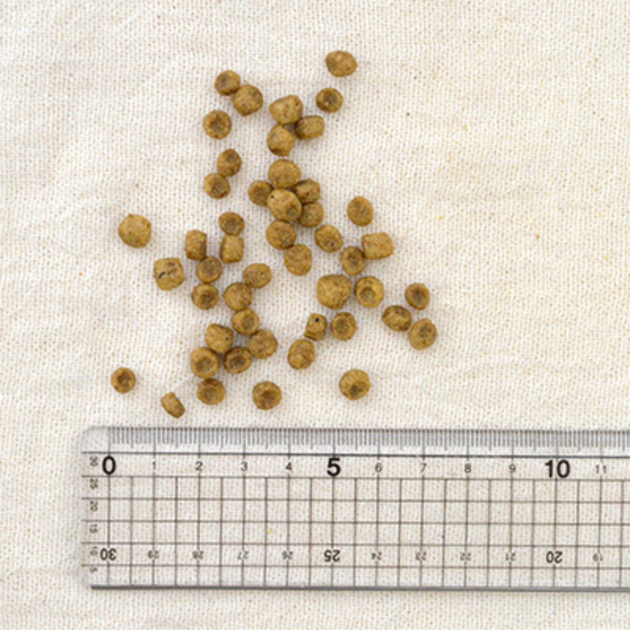 NOW FRESH Grain Free スモールブリード パピー1.59kg・画像3