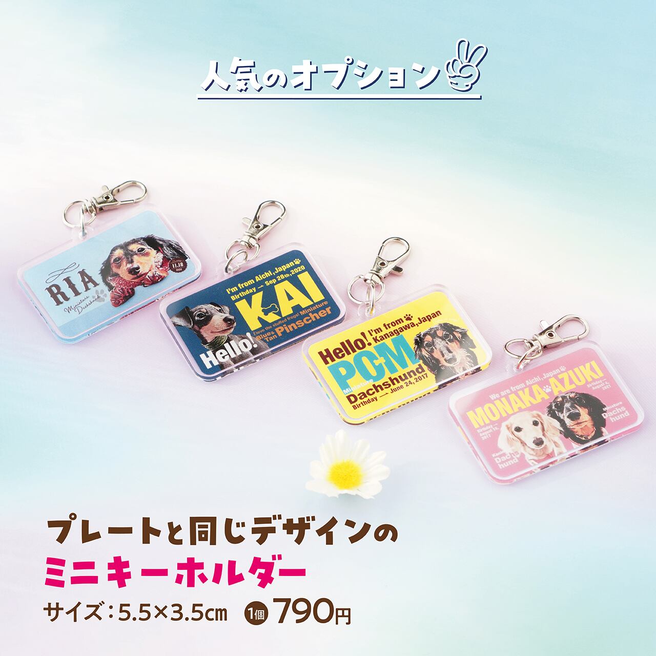 ☆光る】カート ネームプレート〈ヴィンテージ〉 | ひまわんギャラリー