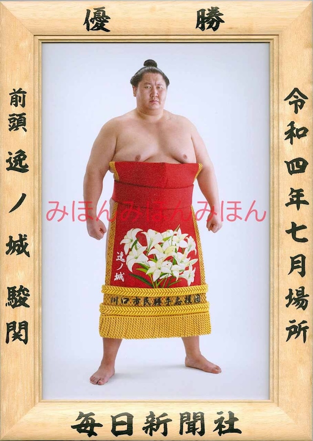 令和4(2022)年11月場所 優勝 前頭 阿炎 政虎 関(初優勝) | 大相撲まいにち部屋(大相撲優勝ミニ額販売公式サイト)