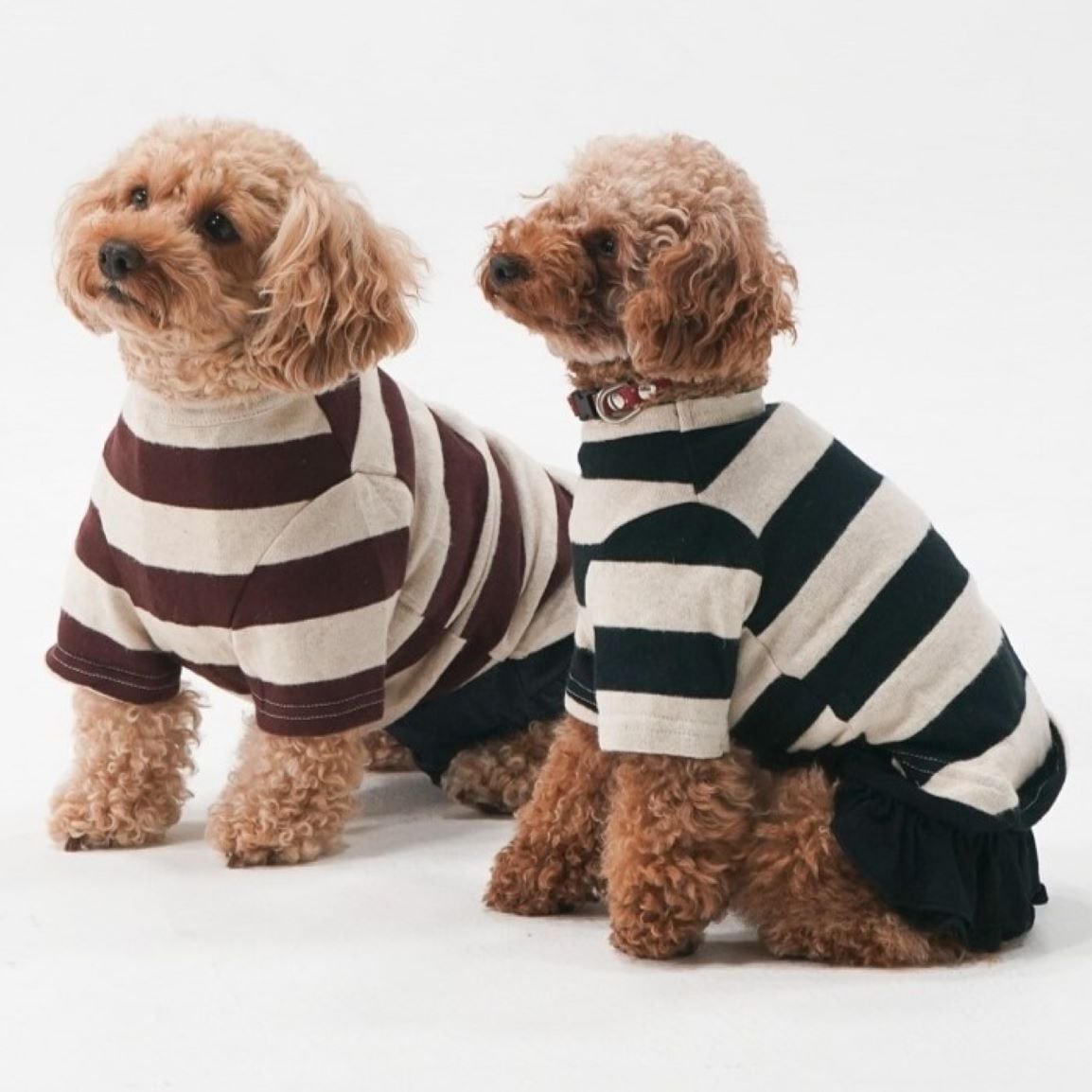 232006]ボーダーTシャツ | 犬服ブランド 2e deuxieme cale